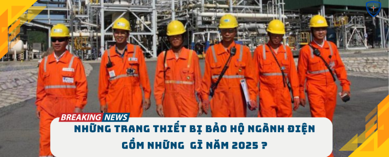 bảo hộ ngành điện, bảo hộ eco3d,